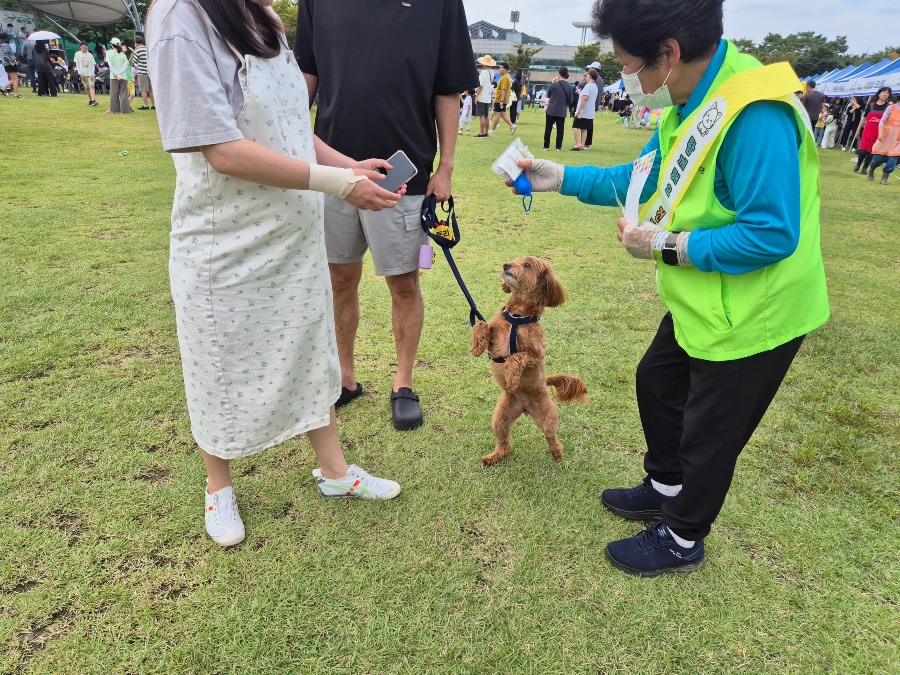 KakaoTalk_20250927_184726137_07.jpg